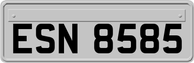 ESN8585