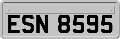 ESN8595