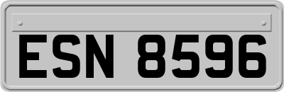 ESN8596
