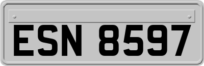 ESN8597