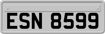 ESN8599