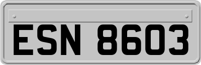 ESN8603