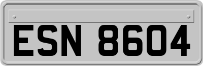 ESN8604
