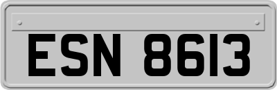 ESN8613