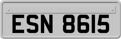 ESN8615