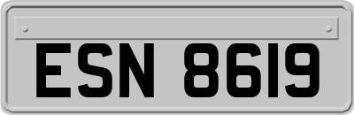ESN8619