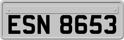 ESN8653