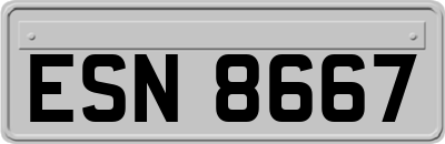 ESN8667