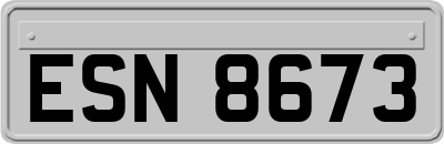 ESN8673