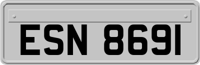 ESN8691