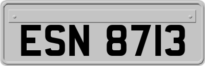 ESN8713