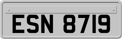 ESN8719