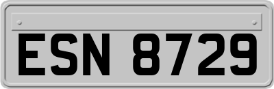 ESN8729