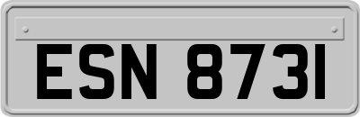 ESN8731
