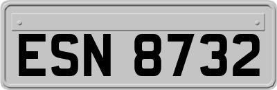 ESN8732