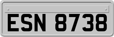 ESN8738