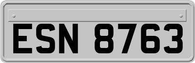 ESN8763