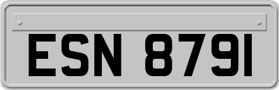 ESN8791