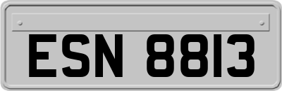 ESN8813