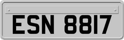 ESN8817