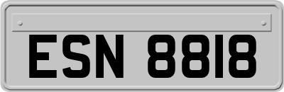 ESN8818