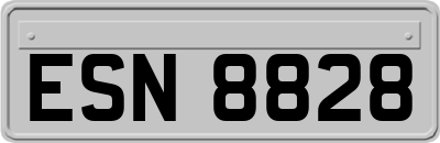 ESN8828