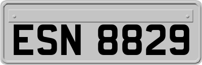 ESN8829