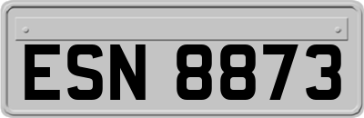 ESN8873
