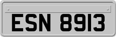 ESN8913
