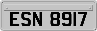 ESN8917