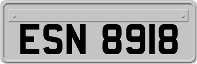 ESN8918