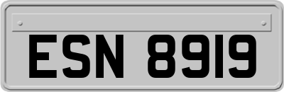 ESN8919