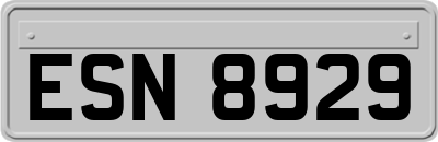 ESN8929