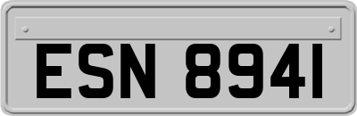 ESN8941