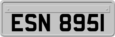 ESN8951