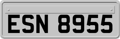 ESN8955
