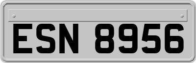ESN8956