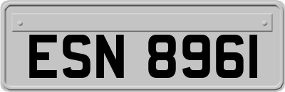ESN8961
