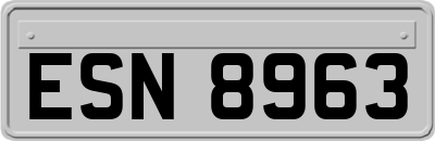 ESN8963
