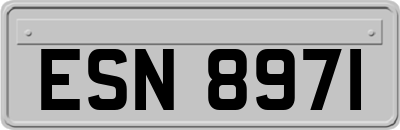 ESN8971