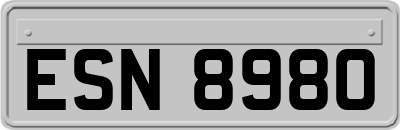 ESN8980