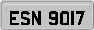 ESN9017