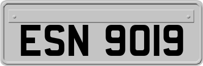 ESN9019