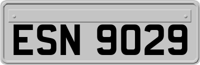 ESN9029