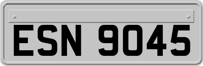 ESN9045