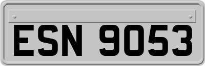 ESN9053