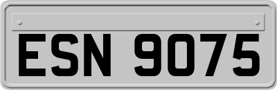 ESN9075