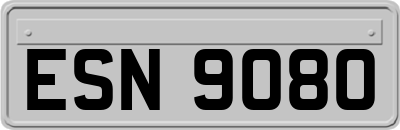 ESN9080