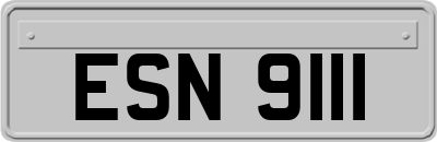 ESN9111