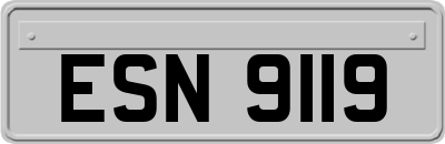 ESN9119
